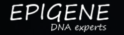 Logo Cliente - Agência GHM - Epigene